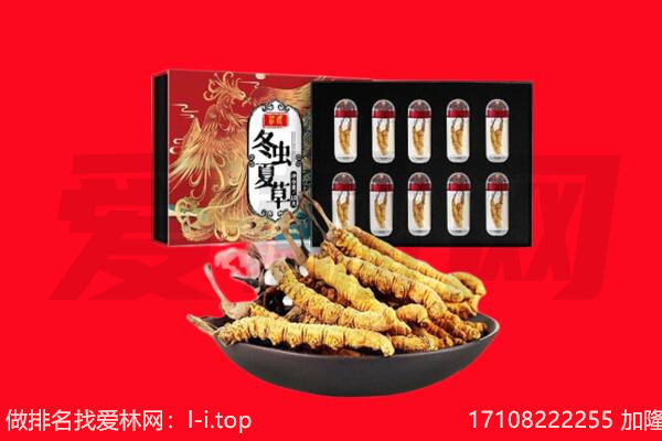 海南州虫草回收
